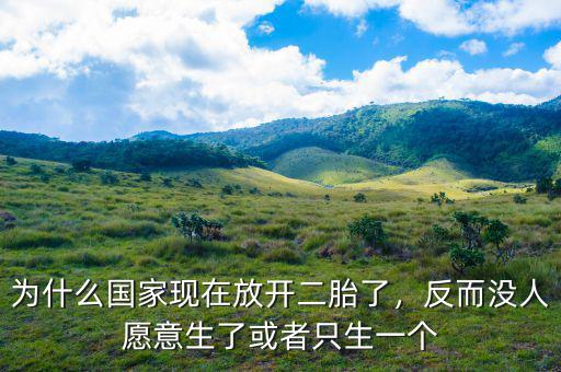 為什么國家現在放開二胎了，反而沒人愿意生了或者只生一個