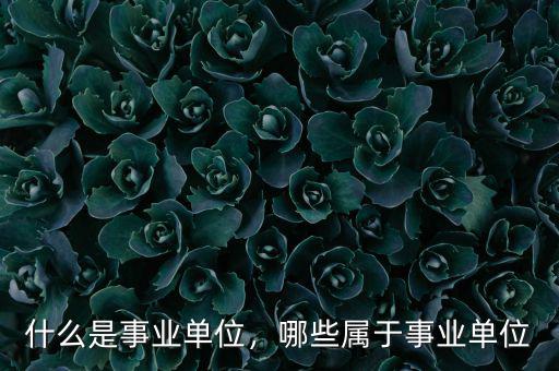 什么是事業(yè)單位，哪些屬于事業(yè)單位
