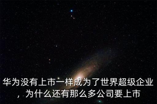 華為沒有上市一樣成為了世界超級企業(yè)，為什么還有那么多公司要上市