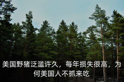 美國野豬泛濫許久，每年損失很高，為何美國人不抓來吃