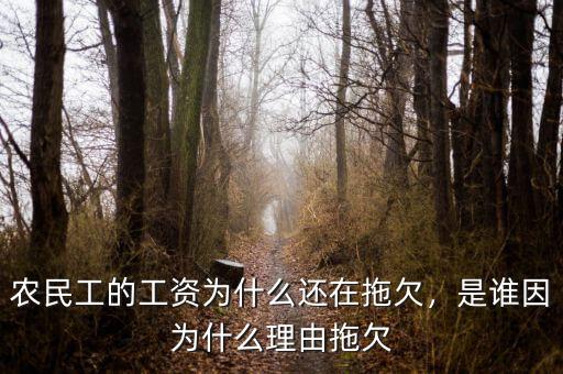 農民工的工資為什么還在拖欠，是誰因為什么理由拖欠