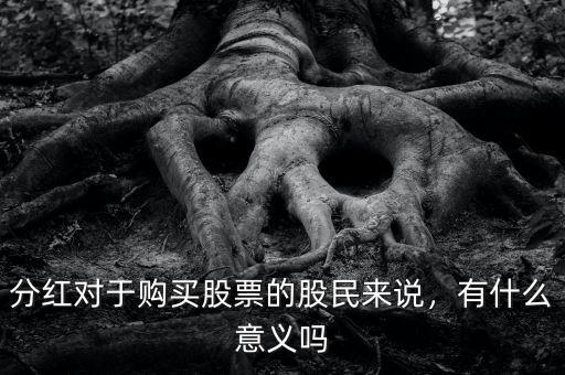 分紅對(duì)于購(gòu)買股票的股民來說，有什么意義嗎