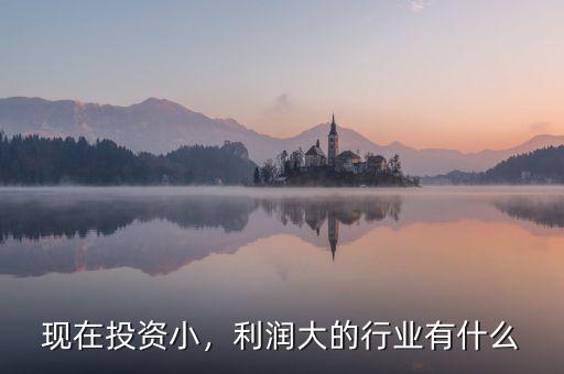 現(xiàn)在投資小，利潤(rùn)大的行業(yè)有什么