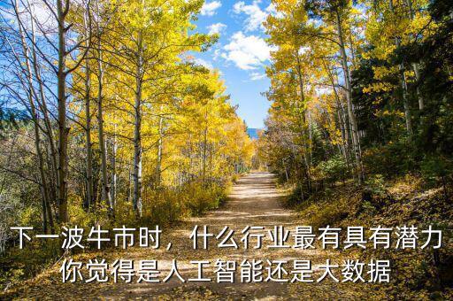 下一波牛市時(shí)，什么行業(yè)最有具有潛力你覺(jué)得是人工智能還是大數(shù)據(jù)