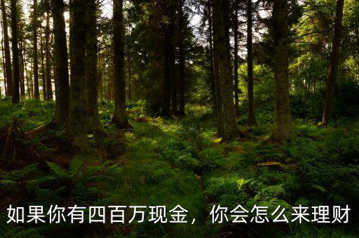 如果你有四百萬現(xiàn)金，你會怎么來理財