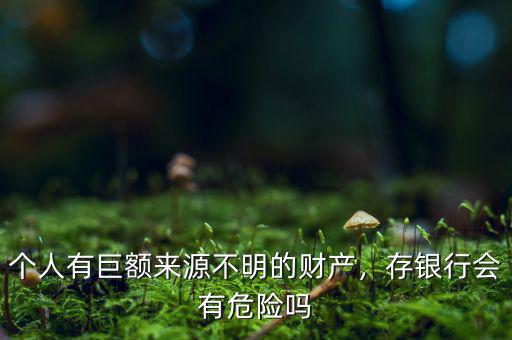 個(gè)人有巨額來(lái)源不明的財(cái)產(chǎn)，存銀行會(huì)有危險(xiǎn)嗎