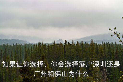 如果讓你選擇，你會選擇落戶深圳還是廣州和佛山為什么