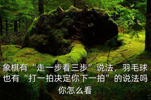 象棋有“走一步看三步”說(shuō)法，羽毛球也有“打一拍決定你下一拍”的說(shuō)法嗎你怎么看