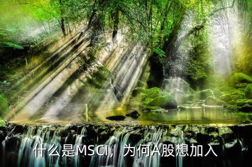 什么是MSCI，為何A股想加入