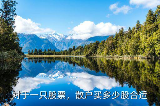 對(duì)于一只股票，散戶買多少股合適