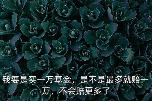 我要是買一萬(wàn)基金，是不是最多就賠一萬(wàn)，不會(huì)賠更多了