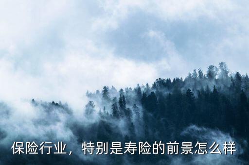 保險(xiǎn)行業(yè)，特別是壽險(xiǎn)的前景怎么樣