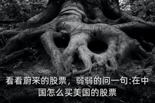 看看蔚來的股票，弱弱的問一句:在中國怎么買美國的股票