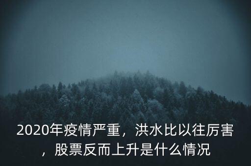 2020年疫情嚴重，洪水比以往厲害，股票反而上升是什么情況