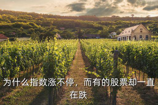 為什么指數(shù)漲不停，而有的股票卻一直在跌
