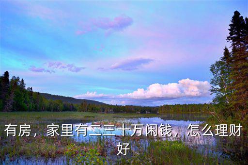 有房，家里有二三十萬閑錢，怎么理財好