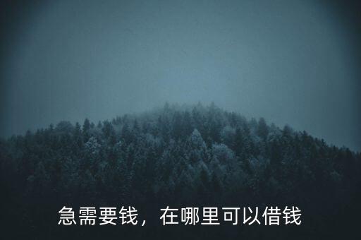 急需要錢，在哪里可以借錢