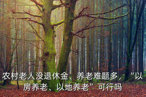 農(nóng)村老人沒退休金、養(yǎng)老難題多，“以房養(yǎng)老、以地養(yǎng)老”可行嗎