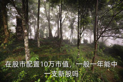 在股市配置10萬市值，一般一年能中一支新股嗎