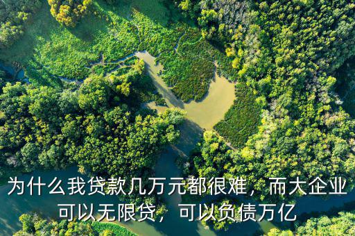 為什么我貸款幾萬元都很難，而大企業(yè)可以無限貸，可以負債萬億