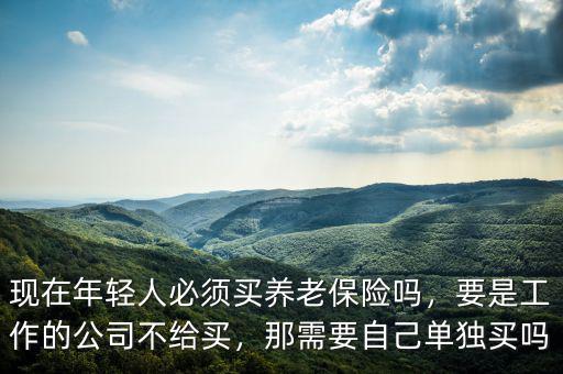 現(xiàn)在年輕人必須買養(yǎng)老保險(xiǎn)嗎，要是工作的公司不給買，那需要自己單獨(dú)買嗎