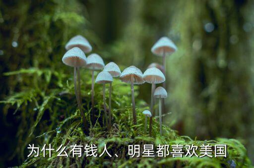 為什么有錢人、明星都喜歡美國