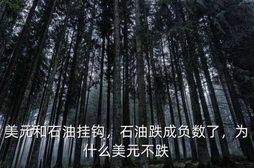 美元和石油掛鉤，石油跌成負數了，為什么美元不跌