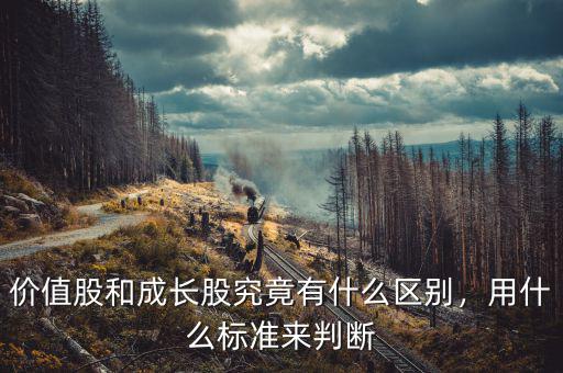 價(jià)值股和成長股究竟有什么區(qū)別，用什么標(biāo)準(zhǔn)來判斷