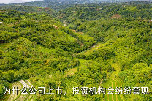 為什么公司上市，投資機(jī)構(gòu)會紛紛套現(xiàn)