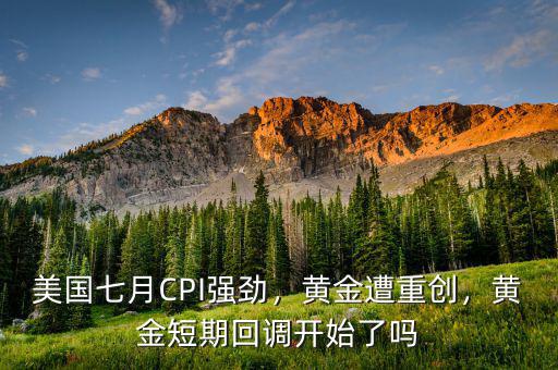 美國七月CPI強勁，黃金遭重創(chuàng)，黃金短期回調(diào)開始了嗎