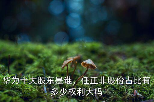 華為十大股東是誰(shuí)，任正非股份占比有多少權(quán)利大嗎