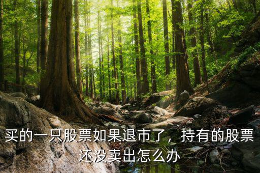 買的一只股票如果退市了，持有的股票還沒賣出怎么辦