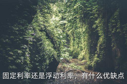 固定利率還是浮動利率，有什么優(yōu)缺點