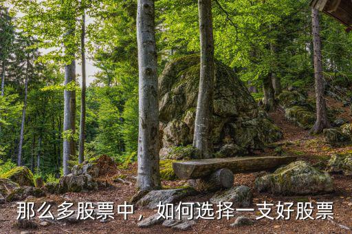 那么多股票中，如何選擇一支好股票
