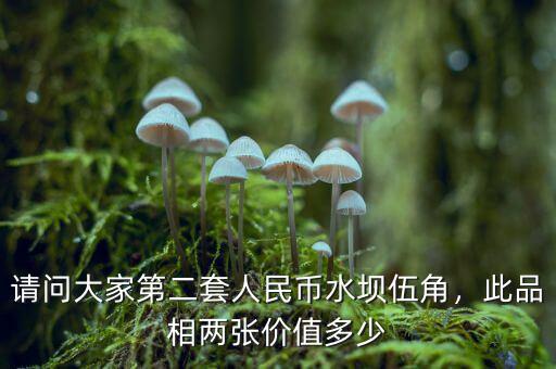 請(qǐng)問(wèn)大家第二套人民幣水壩伍角，此品相兩張價(jià)值多少