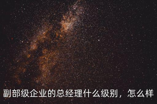 副部級(jí)企業(yè)的總經(jīng)理什么級(jí)別，怎么樣