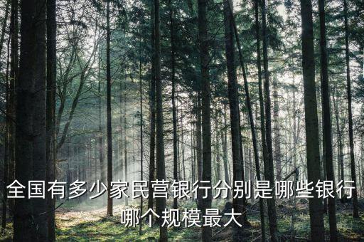全國有多少家民營銀行分別是哪些銀行哪個(gè)規(guī)模最大