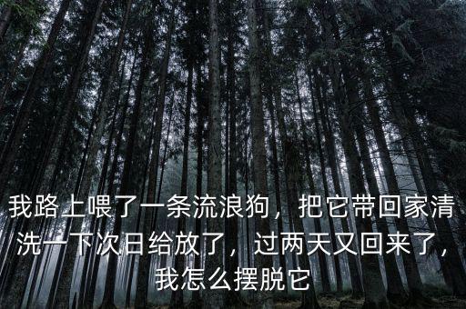 我路上喂了一條流浪狗，把它帶回家清洗一下次日給放了，過兩天又回來了，我怎么擺脫它