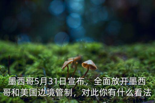 墨西哥5月31日宣布，全面放開墨西哥和美國邊境管制，對此你有什么看法