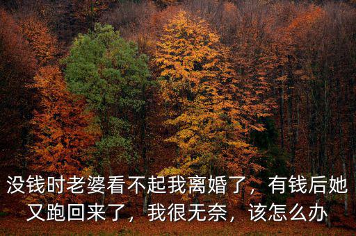 沒錢時老婆看不起我離婚了，有錢后她又跑回來了，我很無奈，該怎么辦
