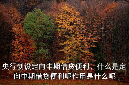 央行創(chuàng)設定向中期借貸便利，什么是定向中期借貸便利呢作用是什么呢