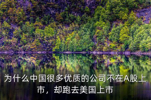 為什么中國很多優(yōu)質(zhì)的公司不在A股上市，卻跑去美國上市