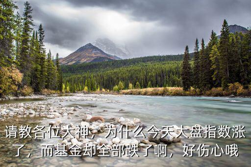 請(qǐng)教各位大神，為什么今天大盤(pán)指數(shù)漲了，而基金卻全部跌了啊，好傷心哦