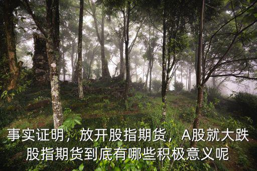 事實證明，放開股指期貨，A股就大跌股指期貨到底有哪些積極意義呢