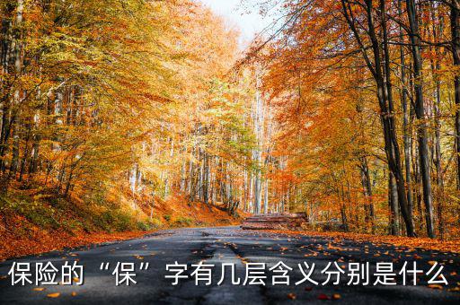 保險(xiǎn)的“?！弊钟袔讓雍x分別是什么