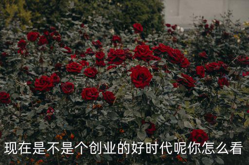 現在是不是個創(chuàng)業(yè)的好時代呢你怎么看