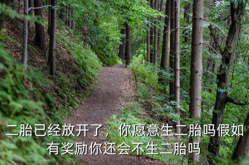二胎已經放開了，你愿意生二胎嗎假如有獎勵你還會不生二胎嗎