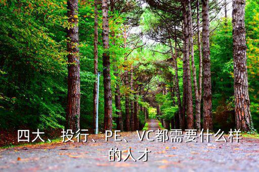 四大、投行、PE、VC都需要什么樣的人才