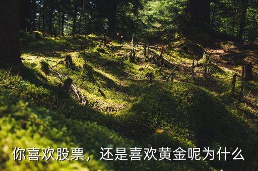 你喜歡股票，還是喜歡黃金呢為什么