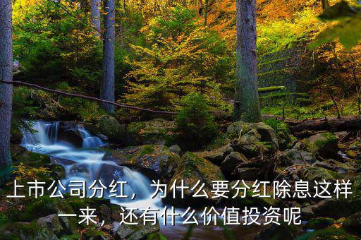 上市公司分紅，為什么要分紅除息這樣一來，還有什么價值投資呢
